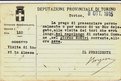 Torino testatina - #torino:, testatina-