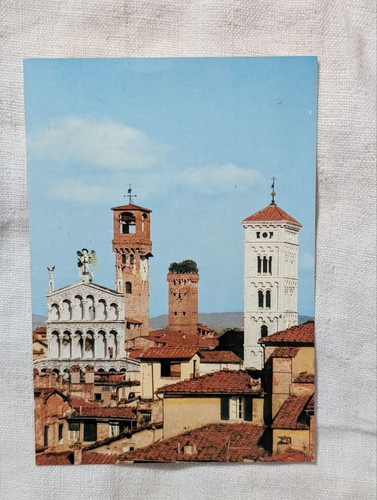 Cartolina lucca torri - ,